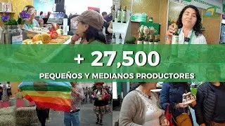 Balance Anual de Agromercado 2025