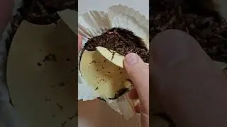 Opening an 11 Year Old Tin of Pipe Tobacco McConnell Scottish Cake #pipesmoking #tobacco