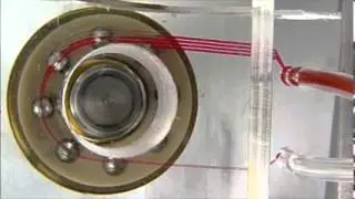 VU1134   Rotary Planar Peristaltic Micropump for Microfluidic Systems