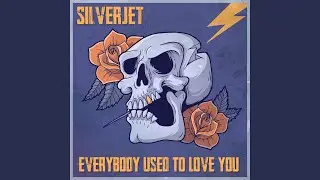 Everybody Used to Love You
