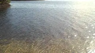Brasher Park, Port Richey, Florida