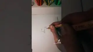 EKG