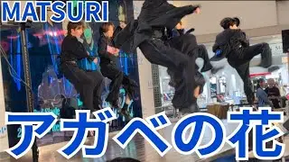 MATSURI『アガベの花』ららぽーとTOKYO-BAY 2025.10.08 新曲リリース日！