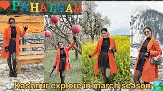 🏞️ Pahalgam tour plan in march 2025 🏔️। #trending #travel #vlog #budget #tour 