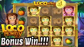 Loco the Monkey - Bonus Win