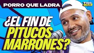 PORRO QUE LADRA ¿EL FIN DE PITUCOS MARRONES? | ¿CINESMERO ES UN PERSONAJE? | Todo Good