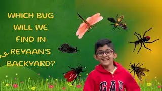 Backyard Nature Hunt | Bugs, Worms & Pinecones! | Reyaan&rsquo;s Curious Kingdom