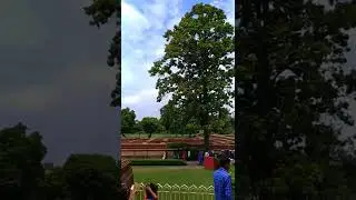 💯😎 Kushinagar Status🔥|| new Kushinagar status video || #kushinagar #status #shorts