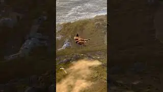 Bird Glitches Through Reality