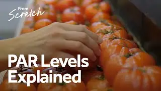 Restaurant Inventory Management: How to Calculate & Use PAR Levels to Reduce Food Waste