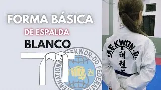 Forma CINTUR&Oacute;N BLANCO de Espalda | Forma B&aacute;sica Tul