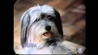 Classic Chuck Wagon  Dog Food Commercial