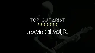 Top Guitarist Presets. David Gilmour