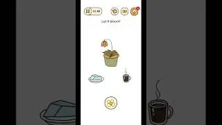 Brain Find Level 60