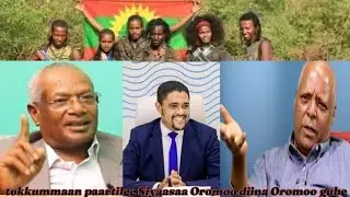 Paartiileen Siyaasaa Oromoo tokkoomuun Diinoota Oromoo sodaachise.