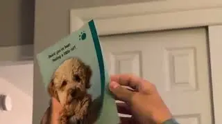 Getting a get well card 🥹