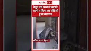 Udaipur News: तेंदुए को रस्सी से बांधने वाली महिला का वीडियो हुआ वायरल | ABP Shorts