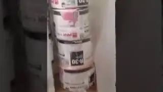 Attic Cleanup