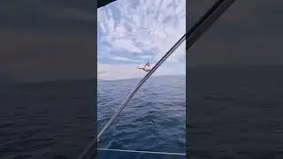 Sailing is fun, #sailing #adventure #crazy