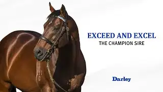 Exceed And Excel: A lifelong bond with Corey Brown