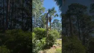 Negative Rigging! Home , landscape , Targets everywhere ! Fun , Fun , and More Fun ! (1)