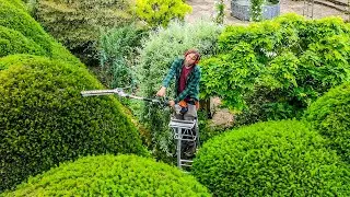 Head gardener reveals jobs the sweet pea mistake even veterans make | SWNS