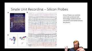 Electrophysiology 4 - Single Unit Recording