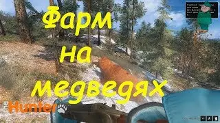 theHunter Classic. Северная охота на бурых медведей и лосей.