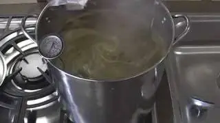 Adding Hops to Boiling Homebrew Wort