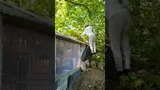Hard working city women in the countryside -  LOL