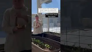 Here&rsquo;s why you should play music for your plants. #soundhealing #earthenergy #frequency #energy