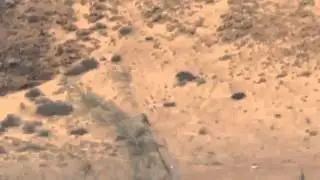 First White-throated Bee-eater for the Western Palearctic