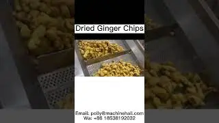 Bulk High Quality Dried Ginger Chips Wholesale Price #ginger #driedginger