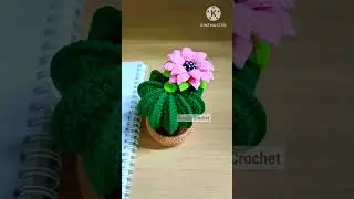 🌵Crochet Cactus in pot Free pattern Tutorial on YouTube Gonkui Crochet step by step #shorts