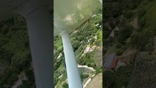 El platanar 🌲🌧️🪵