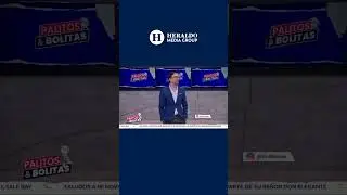&iexcl;Lluvia de mapaches en Guerrero! Sesi&oacute;n en sala de Cabildo de Acapulco es invadida por estos seres