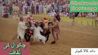 Dand kala kabutar jalsa bhaun#chakwaljalsa #karah #chakwal #داند کالا کبوتر جلسہ بھون 2023