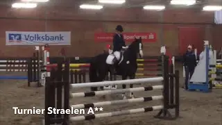 2015- My Horses and me