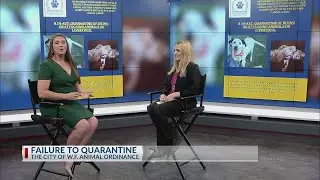 WICHITA FALLS ANIMAL SERVICES &ndash; QUARANTINE ORDINANCE