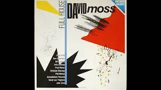 cartridge VAN DEN HUL,balanced output / DAVID MOSS - FULL HOUSE / SIDE - A / VINYL