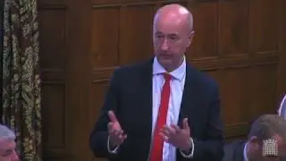Tonia Antoniazzi MP, Health related effects of electromagnetic fields and 5G