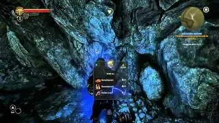 The Witcher 2 Assassins of Kings-Chapter 1-The Kayran: Ostmurk