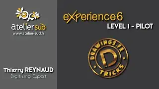 Wings eXPerience 6 - Level 1 Pilot