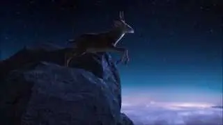 The Vet App | Go Mobile Deer | Veterinary App
