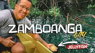 EXPLORING ZAMBOANGA CITY PINK BEACH PHILIPPINES 🇵🇭 STA.CRUZ ISLAND (PART 3)