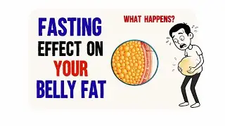What Really Happens to Belly Fat During Intermittent Fasting (Science Explained)