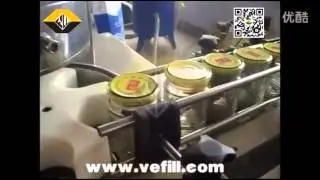 Jar Vacuum Capping Machine from Vefill