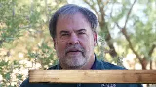 Arizona Elk Society Long Valley Riparian Restoration 2017