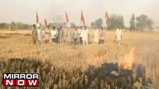 Farmers continue to burn stubble in Punjab, call it a protest against 'unfulfilled promises'