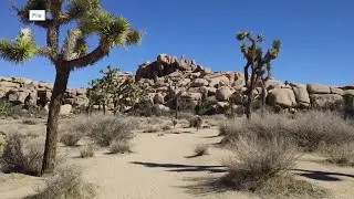 How the government shutdown will impact national parks